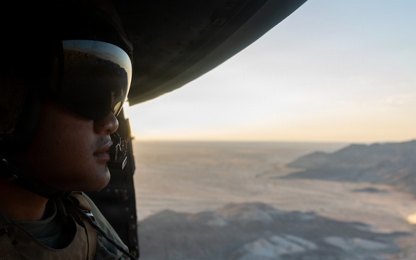 Marines Partner with State and Federal Agencies for Endangered Desert Bighorn Sheep