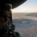 Marines Partner with State and Federal Agencies for Endangered Desert Bighorn Sheep
