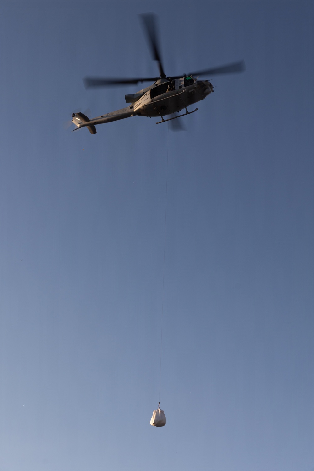 Marines Partner with State and Federal Agencies for Endangered Desert Bighorn Sheep