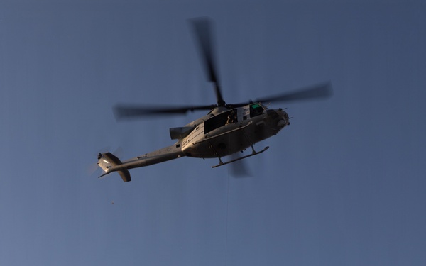 Marines Partner with State and Federal Agencies for Endangered Desert Bighorn Sheep