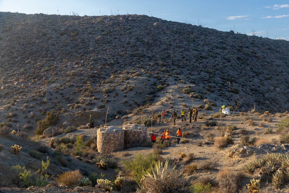 Marines Partner with State and Federal Agencies for Endangered Desert Bighorn Sheep
