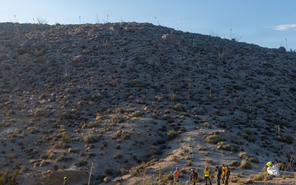 Marines Partner with State and Federal Agencies for Endangered Desert Bighorn Sheep
