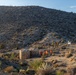 Marines Partner with State and Federal Agencies for Endangered Desert Bighorn Sheep