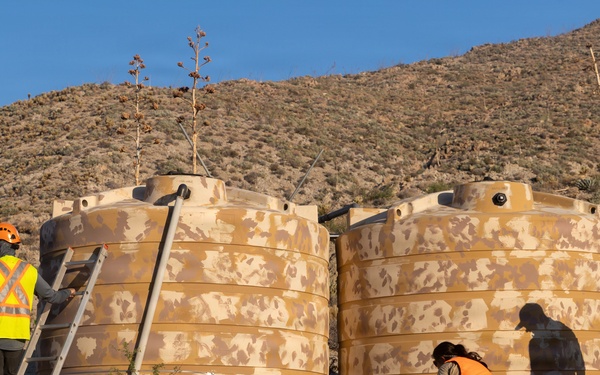 Marines Partner with State and Federal Agencies for Endangered Desert Bighorn Sheep