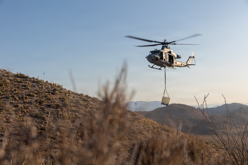 Marines Partner with State and Federal Agencies for Endangered Desert Bighorn Sheep