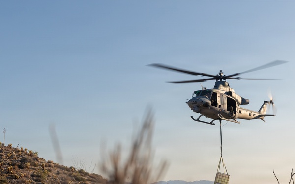 Marines Partner with State and Federal Agencies for Endangered Desert Bighorn Sheep