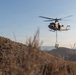 Marines Partner with State and Federal Agencies for Endangered Desert Bighorn Sheep