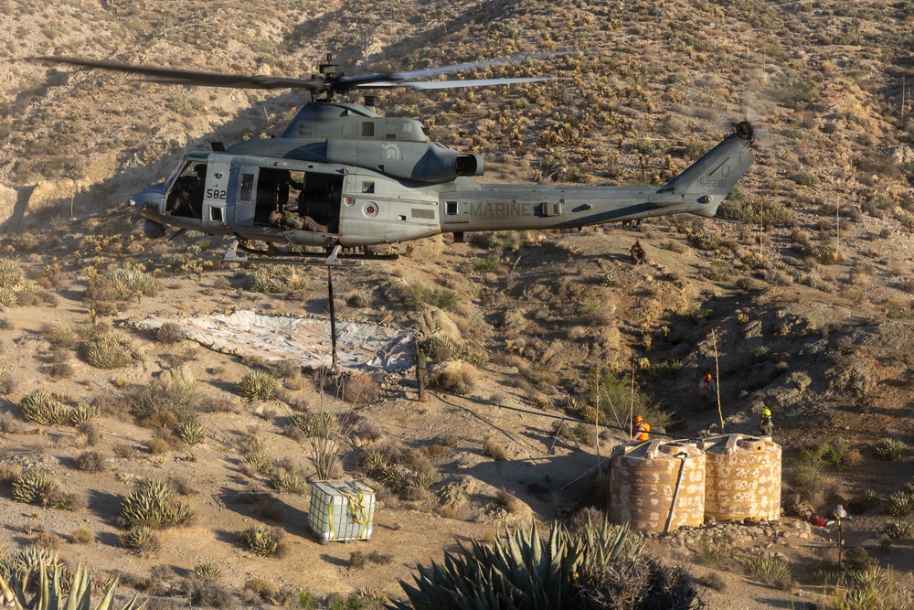 Marines Partner with State and Federal Agencies for Endangered Desert Bighorn Sheep