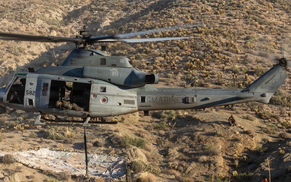 Marines Partner with State and Federal Agencies for Endangered Desert Bighorn Sheep