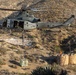Marines Partner with State and Federal Agencies for Endangered Desert Bighorn Sheep