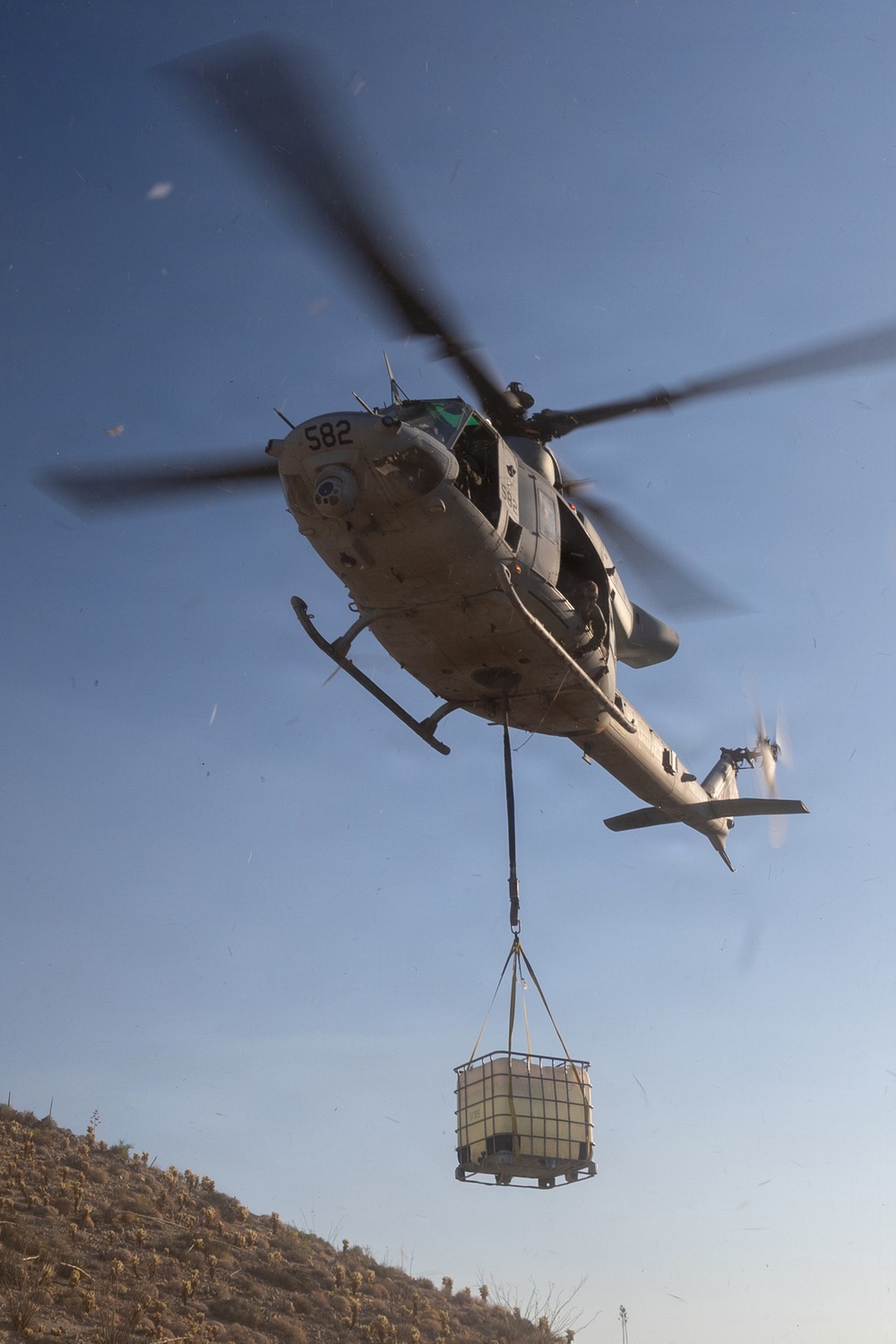 Marines Partner with State and Federal Agencies for Endangered Desert Bighorn Sheep