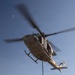 Marines Partner with State and Federal Agencies for Endangered Desert Bighorn Sheep