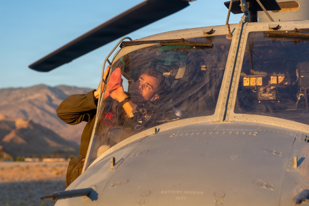 Marines Partner with State and Federal Agencies for Endangered Desert Bighorn Sheep