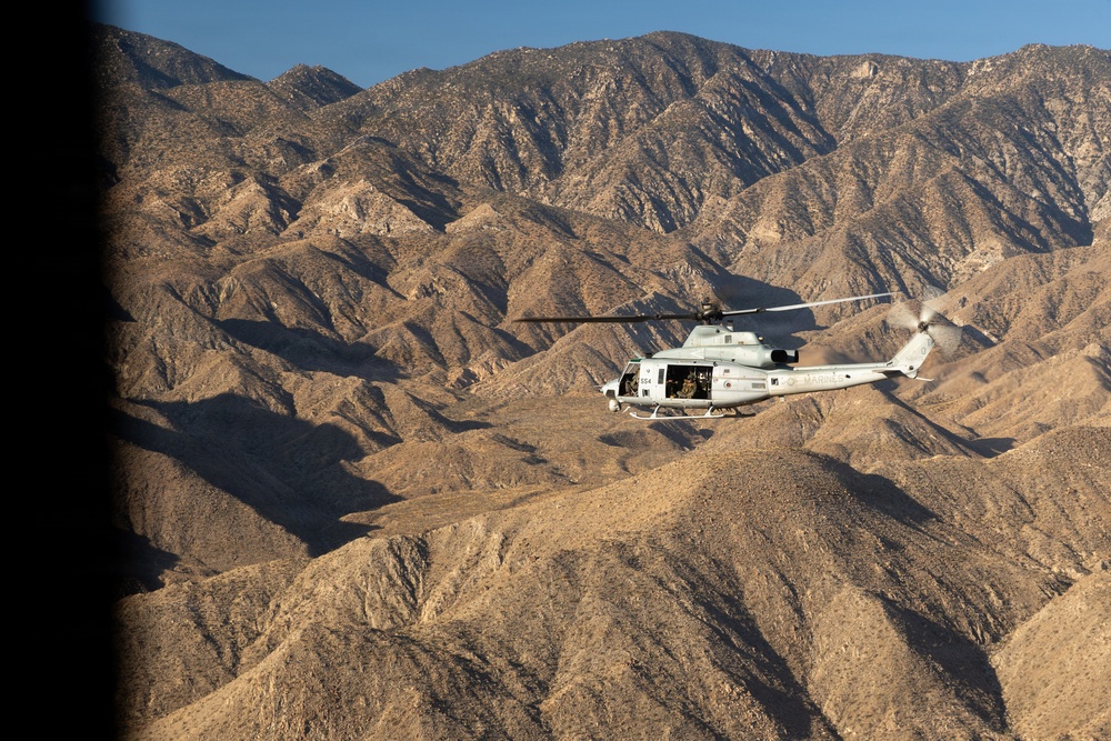 Marines Partner with State and Federal Agencies for Endangered Desert Bighorn Sheep