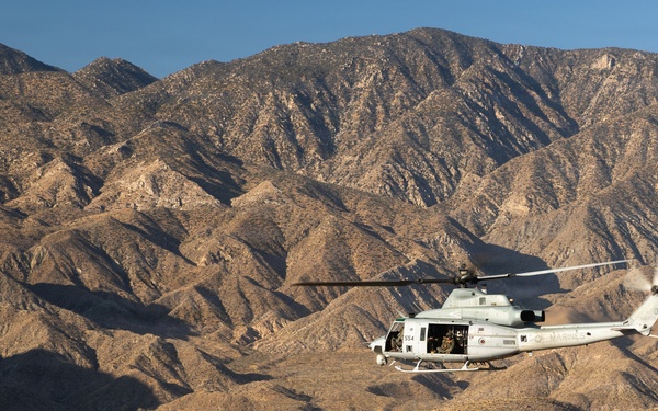 Marines Partner with State and Federal Agencies for Endangered Desert Bighorn Sheep