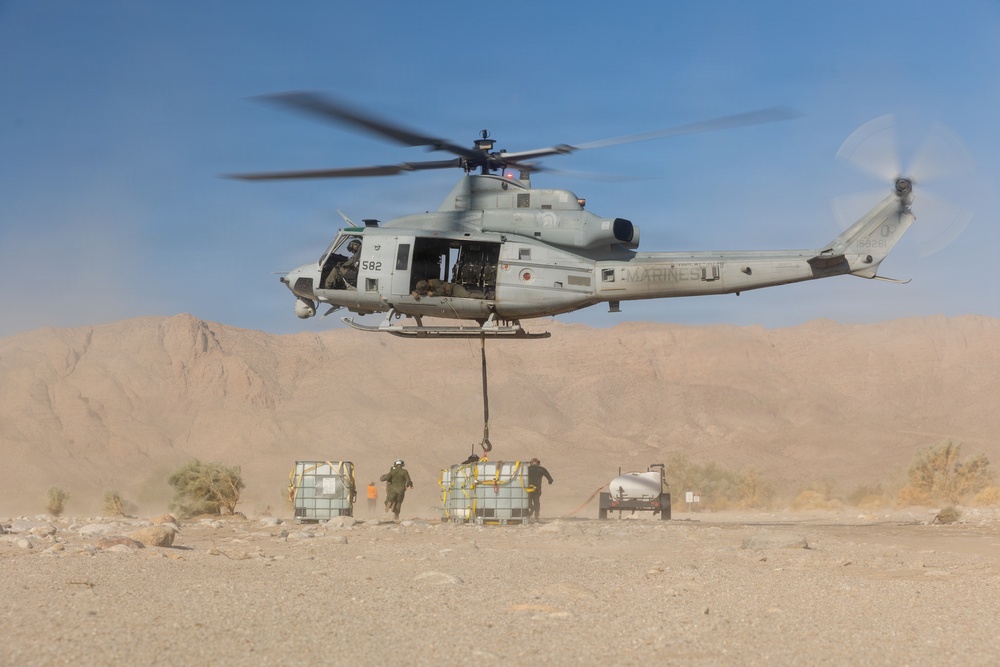 Marines Partner with State and Federal Agencies for Endangered Desert Bighorn Sheep