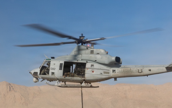 Marines Partner with State and Federal Agencies for Endangered Desert Bighorn Sheep