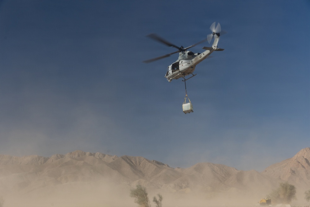 Marines Partner with State and Federal Agencies for Endangered Desert Bighorn Sheep