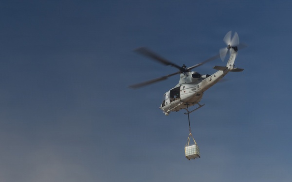 Marines Partner with State and Federal Agencies for Endangered Desert Bighorn Sheep