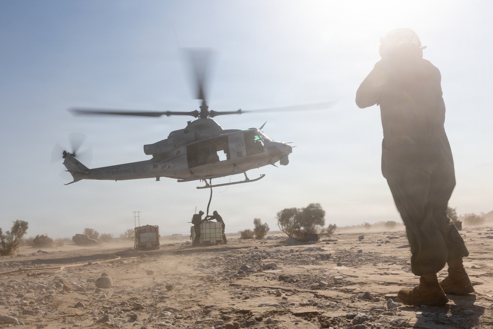 Marines Partner with State and Federal Agencies for Endangered Desert Bighorn Sheep