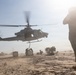 Marines Partner with State and Federal Agencies for Endangered Desert Bighorn Sheep