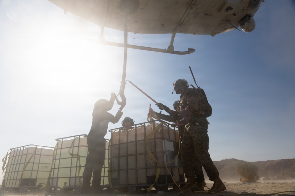 Marines Partner with State and Federal Agencies for Endangered Desert Bighorn Sheep
