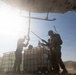 Marines Partner with State and Federal Agencies for Endangered Desert Bighorn Sheep