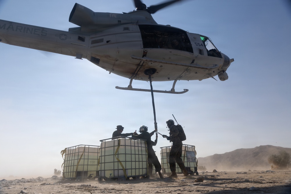 Marines Partner with State and Federal Agencies for Endangered Desert Bighorn Sheep