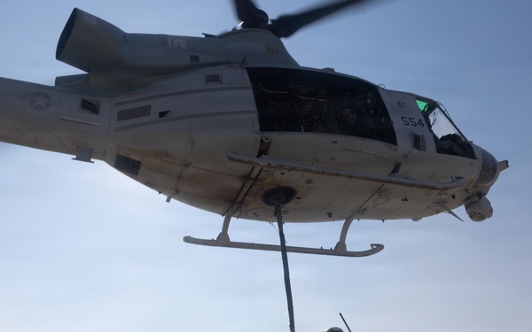 Marines Partner with State and Federal Agencies for Endangered Desert Bighorn Sheep