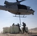 Marines Partner with State and Federal Agencies for Endangered Desert Bighorn Sheep