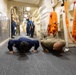 LCF-24: Combat Life-Saving Test Out