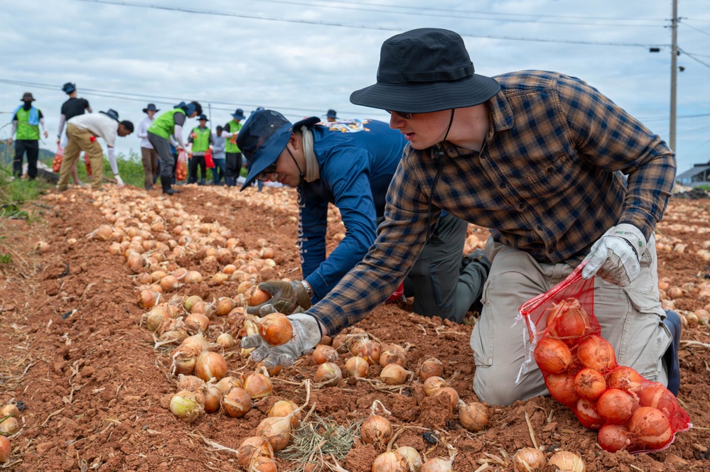 Kunsan Airmen volunteer to help local farmers