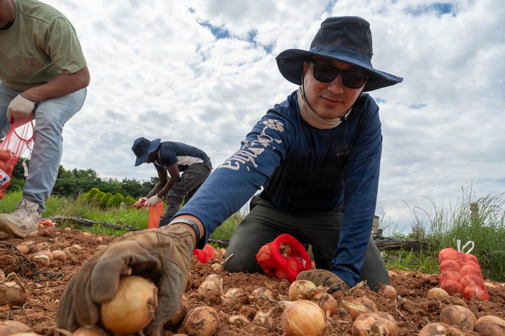 Kunsan Airmen volunteer to help local farmers