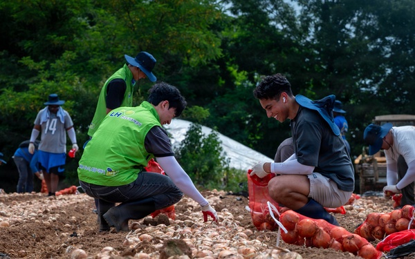 Kunsan Airmen volunteer to help local farmers