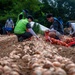 Kunsan Airmen volunteer to help local farmers