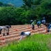 Kunsan Airmen volunteer to help local farmers