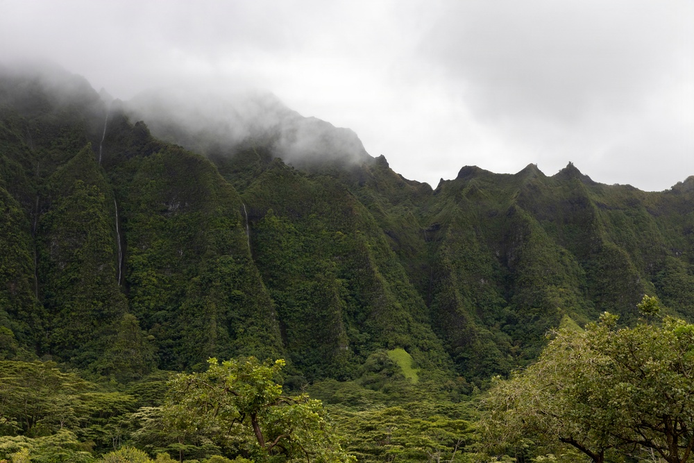 Conservation Through Partnership: MCBH, State, Local, and Nonprofit Agencies Help Protect Kaneohe Pali