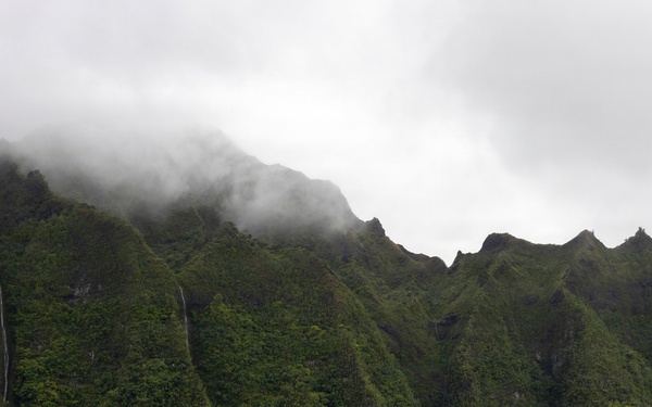 Conservation Through Partnership: MCBH, State, Local, and Nonprofit Agencies Help Protect Kaneohe Pali