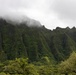 Conservation Through Partnership: MCBH, State, Local, and Nonprofit Agencies Help Protect Kaneohe Pali