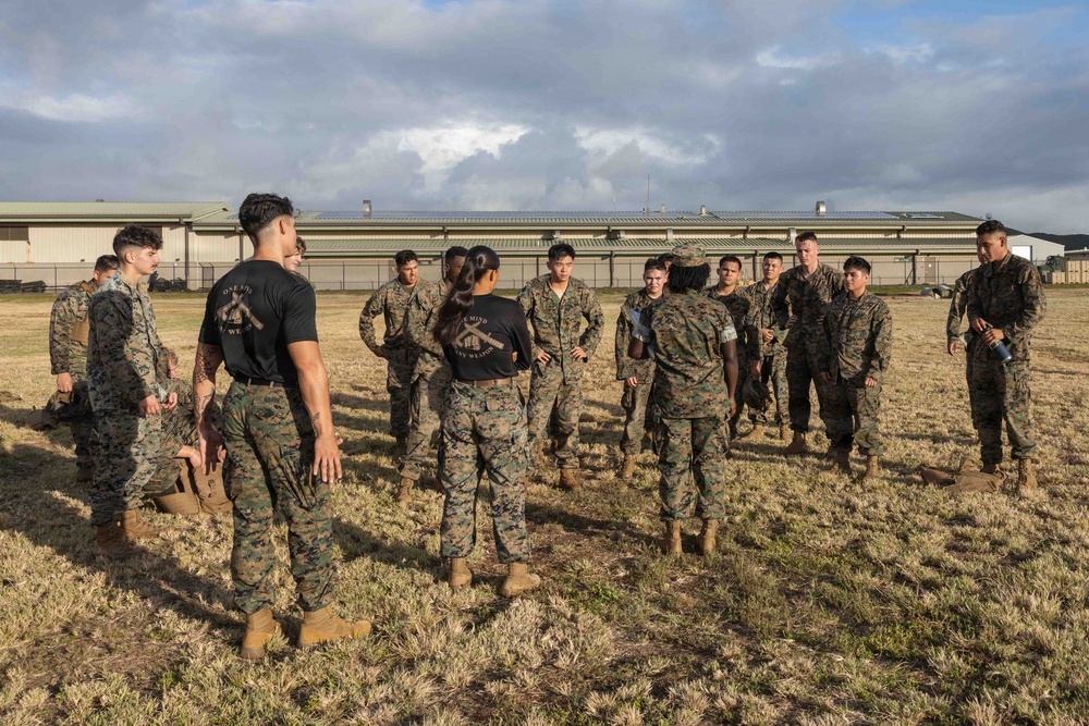 Strength training: Marine Corps Martial Arts Program O-Course training at MCBH