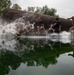 435th CTS Airmen dive into tradition at Ramstein