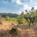 U.S. Marines Participate in the International Sniper Competition: Day 4