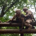 U.S. Marine Corps Officer Candidates conduct the Basic Reaction Course
