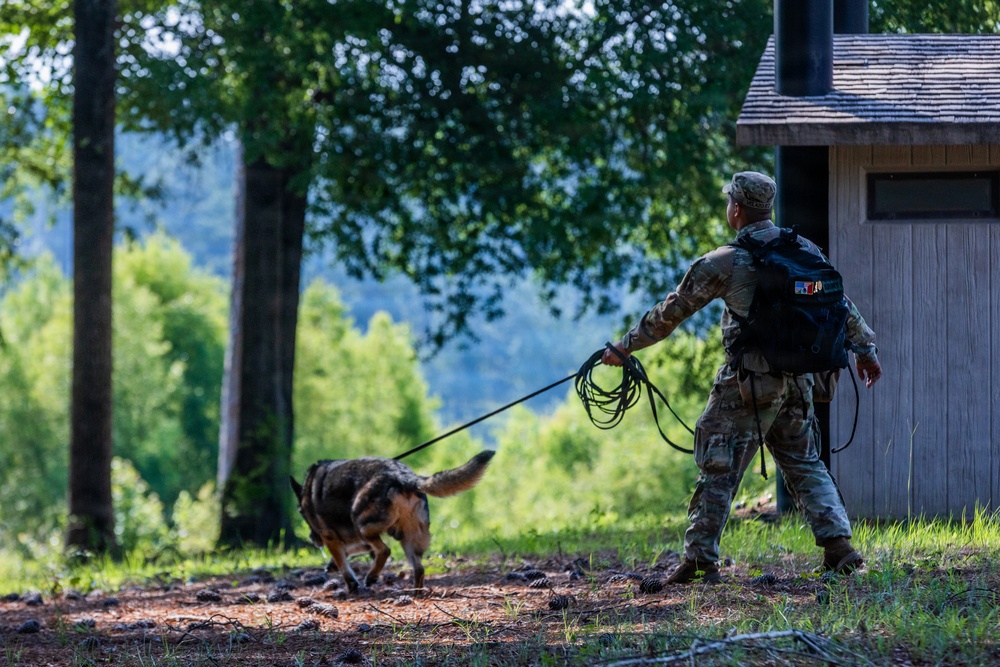 2026 06 10 T2COM Military Working Dog Certification