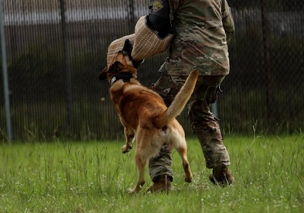 2026 06 08 T2COM Military Working Dog Certification