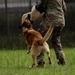 2026 06 08 T2COM Military Working Dog Certification