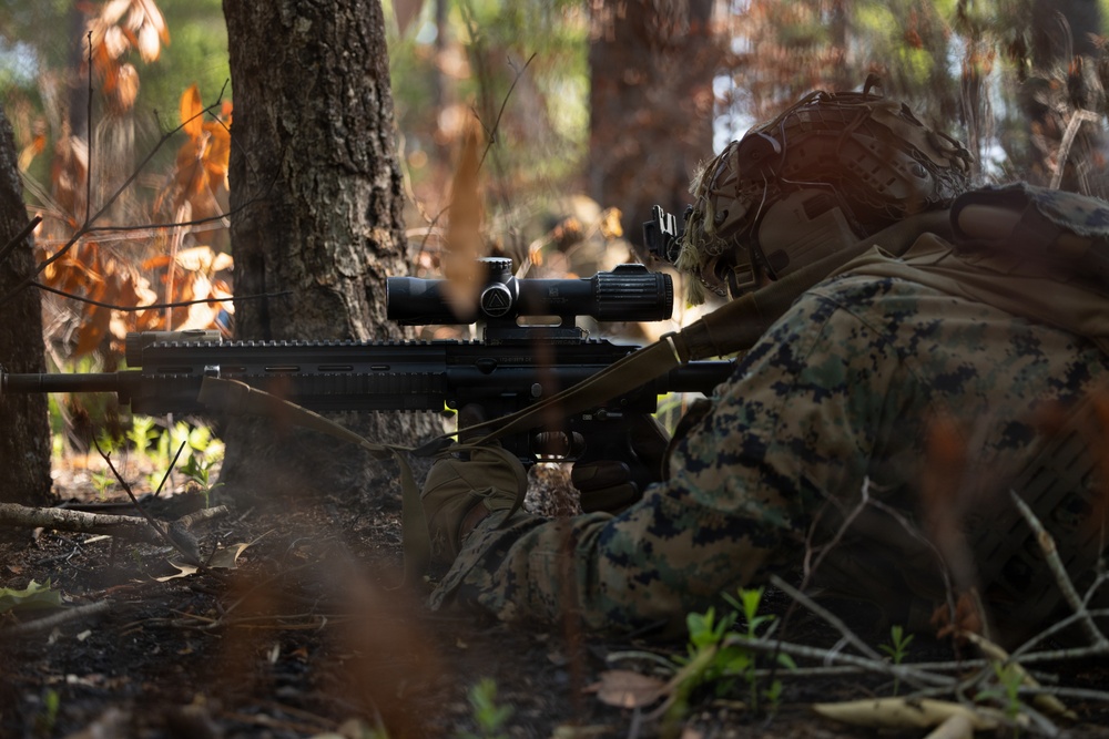 Advanced Infantry Training Company Participates in a Live Fire Exercise