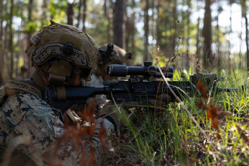 Advanced Infantry Training Company Participates in a Live Fire Exercise
