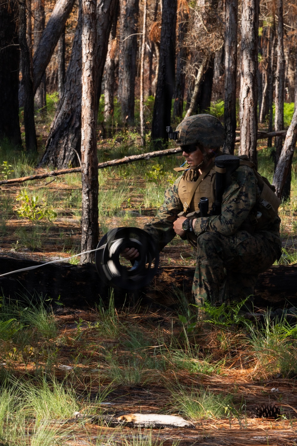 Advanced Infantry Training Company Participates in a Live Fire Exercise