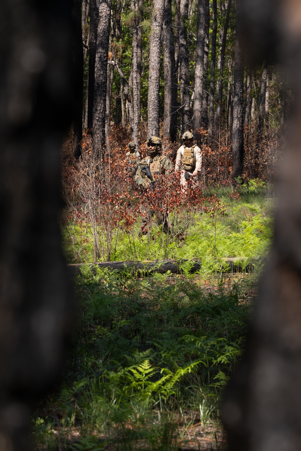 Advanced Infantry Training Company Participates in a Live Fire Exercise